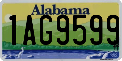 AL license plate 1AG9599