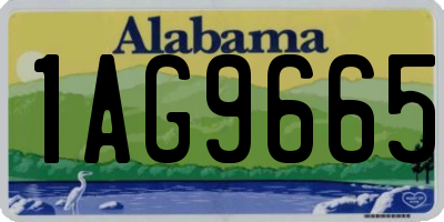 AL license plate 1AG9665