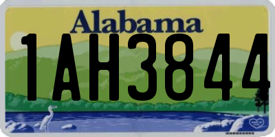 AL license plate 1AH3844