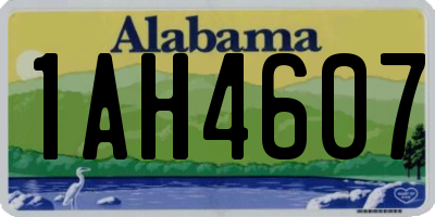 AL license plate 1AH4607