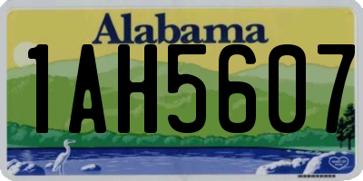 AL license plate 1AH5607