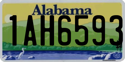 AL license plate 1AH6593