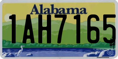 AL license plate 1AH7165