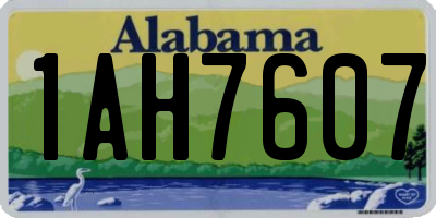 AL license plate 1AH7607