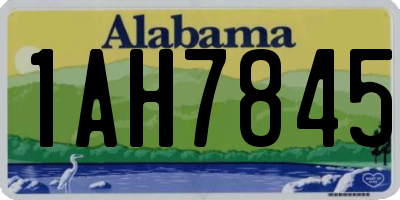 AL license plate 1AH7845
