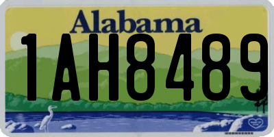 AL license plate 1AH8489