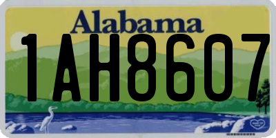 AL license plate 1AH8607
