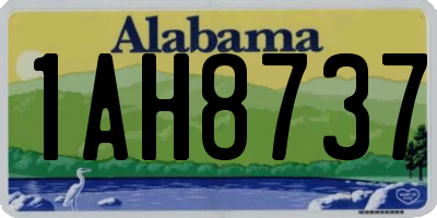 AL license plate 1AH8737