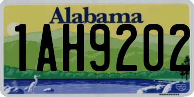 AL license plate 1AH9202