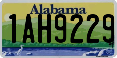 AL license plate 1AH9229