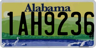 AL license plate 1AH9236