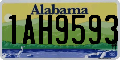 AL license plate 1AH9593