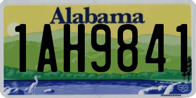 AL license plate 1AH9841
