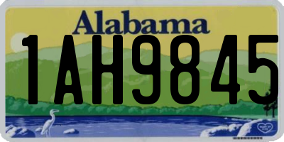 AL license plate 1AH9845