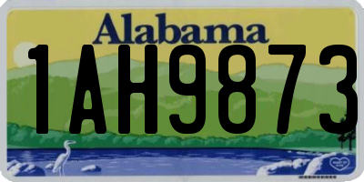 AL license plate 1AH9873