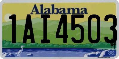 AL license plate 1AI4503