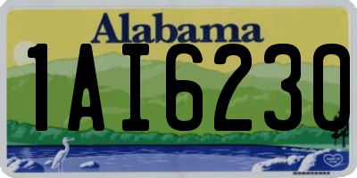 AL license plate 1AI6230