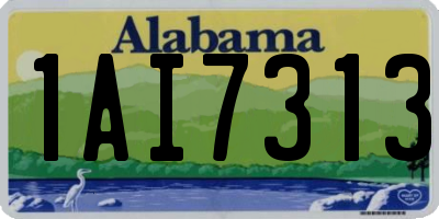 AL license plate 1AI7313