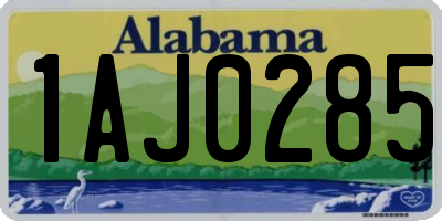 AL license plate 1AJ0285