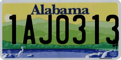 AL license plate 1AJ0313