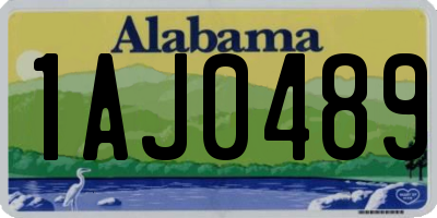 AL license plate 1AJ0489