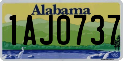 AL license plate 1AJ0737