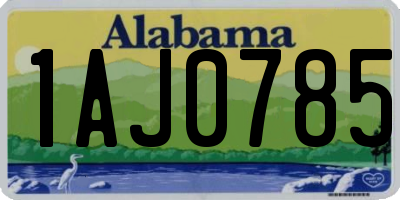 AL license plate 1AJ0785