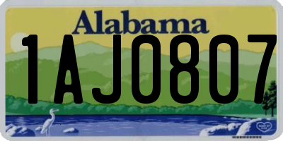 AL license plate 1AJ0807