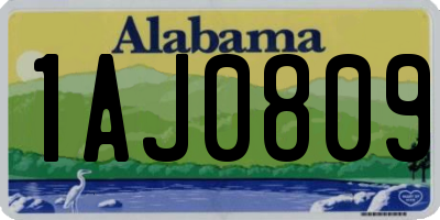 AL license plate 1AJ0809