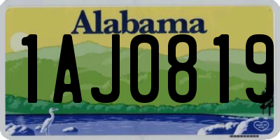 AL license plate 1AJ0819