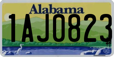 AL license plate 1AJ0823