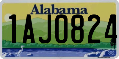 AL license plate 1AJ0824