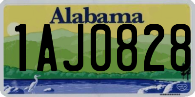AL license plate 1AJ0828