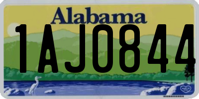 AL license plate 1AJ0844