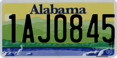 AL license plate 1AJ0845