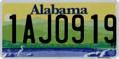 AL license plate 1AJ0919