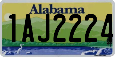 AL license plate 1AJ2224
