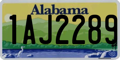 AL license plate 1AJ2289