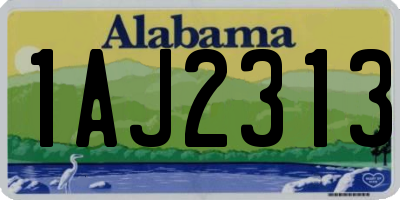 AL license plate 1AJ2313