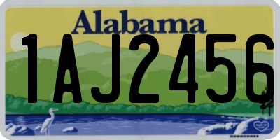AL license plate 1AJ2456