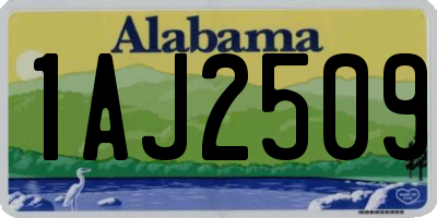 AL license plate 1AJ2509