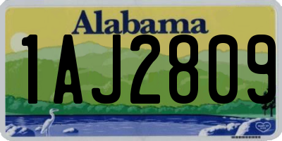 AL license plate 1AJ2809