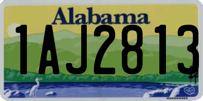 AL license plate 1AJ2813