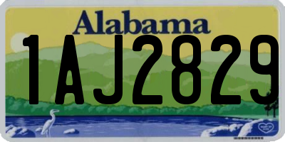 AL license plate 1AJ2829