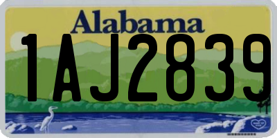AL license plate 1AJ2839
