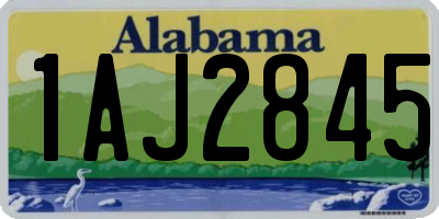 AL license plate 1AJ2845