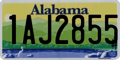 AL license plate 1AJ2855