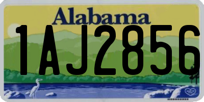 AL license plate 1AJ2856