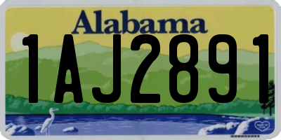 AL license plate 1AJ2891