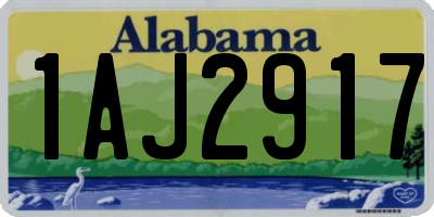 AL license plate 1AJ2917